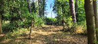 20230729_083115 (002)